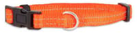 Dog Collars & Leashes - Collars
